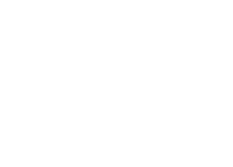 Bite Sized Facts